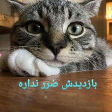 54متری آپارتمان فول امکانات
