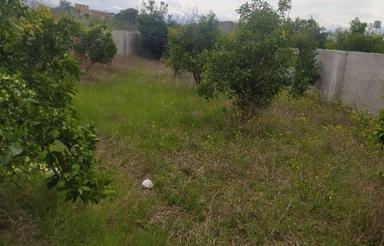 فروش زمین مسکونی 624 متر در واسکس