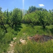 زمین 400 متری در قاسم اباد بزرگ