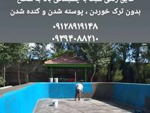 رنگ ضد جلبک استخر و حوضچه با عایق آبی نانوایزوکاور قزوین در شیپور