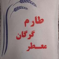 برنج طارم محلی گرگان