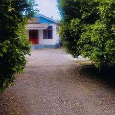ویلا باغ تجاری مسکونی 270متری*جاده ساحلی