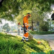 علف تراشی باغ و زمین