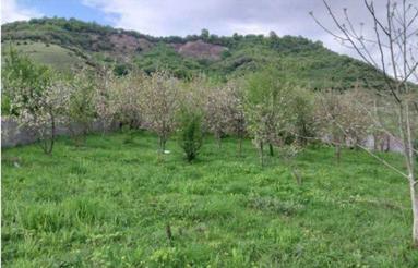 فروش زمین مسکونی 1064 متر در پیرنعیم