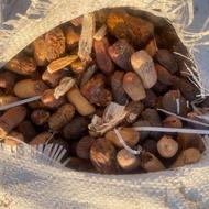 خرما ضایعاتی