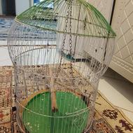 قفسه پرنده