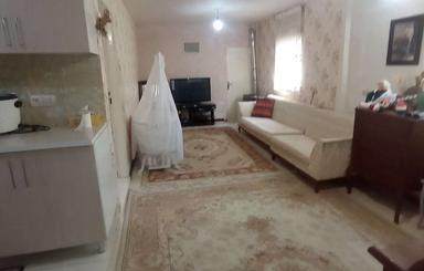 خانه باغ 284 متری داخل بافت