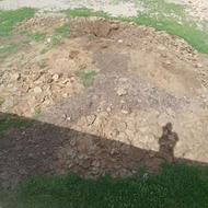 کود گوسفندی