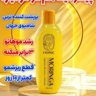 شامپو اصل مورینگا و شامپوی اصل خاویار