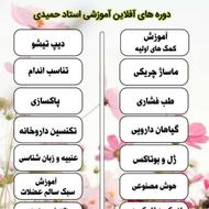 اکادمی استادحمیدی