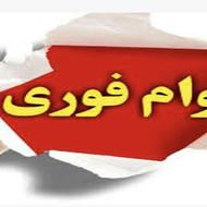 انواع وام فوری