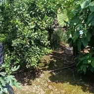 فروش خانه و کلنگی 267 متر در بلوار منفرد