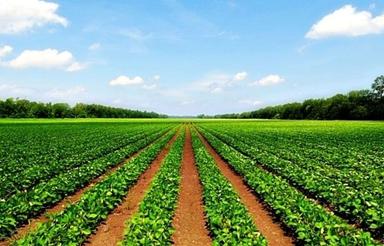3هکتار زمین کشاورزی بر جاده اصلی با اب برای فروش