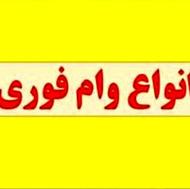 وام فوری یکروزه