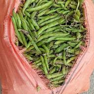 باقالی سبز و تازه