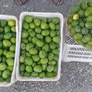 فروش انبه رودان