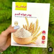 جوانه گندم