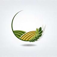 4هکتار زمین کشاورزی دیباج