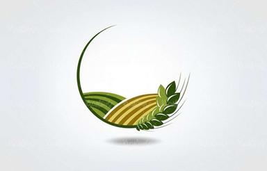 4هکتار زمین کشاورزی دیباج