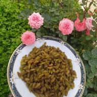 کشمش سبز قلمی