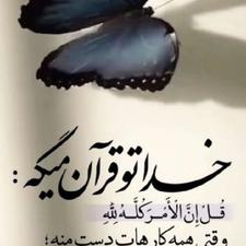 نظافتچی آقا هستم. باسابقه. و کاری