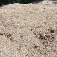 کود گاوی خشک شده