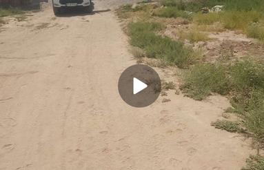 ایرانشهر بلوار بهشت