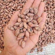 بادام زمینی بذرمالی شده