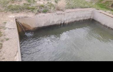 فروش باغ انگور 10000متری در روستای کینه ورس