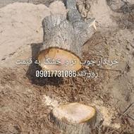 خریدار چوب به قیمت روز