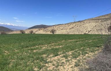 4721 متر زمین زیبا کجور