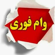 وام‌پول‌نفدلازمی‌