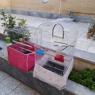 قفس بزرگ وگرد عروس هلندی طوطی راهب قابل ارسال