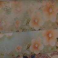 پرده زبرا درحدنو