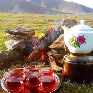 چای سرگل بهاره 1405