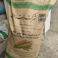 بذر ذرت 704 و703 و والبوم کرواسی