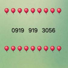 0919 919 3056