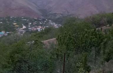 150 متری در روستای زیبای برگجهان