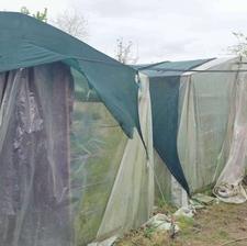 فروش ویلایی
