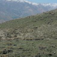 ملک کوهستانی مناسب نگهداری دام
