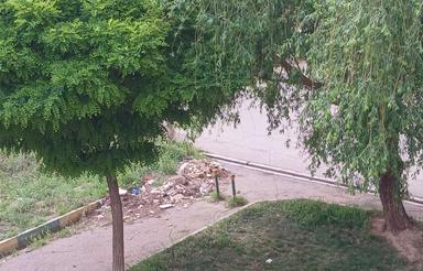 باغ انگور ومیوه