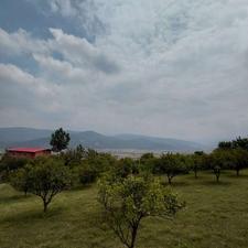 فروش زمین مسکونی 530 متر در کلیجان رستاق
