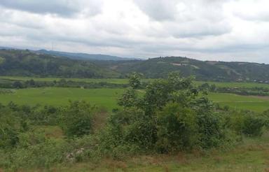 880 متر زمین باغی و کشاورزی فروشی