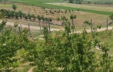 فروش زمین به متراژ سه هکتار واقع درروستای قره گل