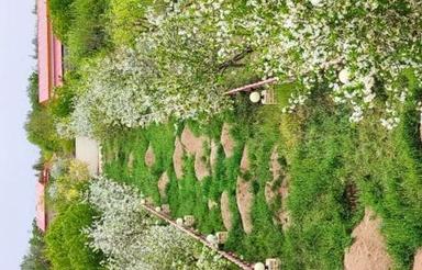 باغ 600 متری سنددار لاکچری معاوضه
