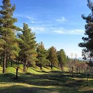 تور یک روزه شیان