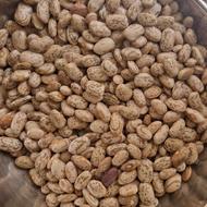 لوبیا سراب تر و تمیز زودپز 30 کیلوهست