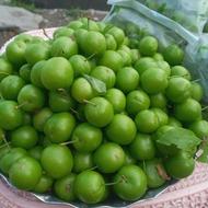 گوجه سبز الچه