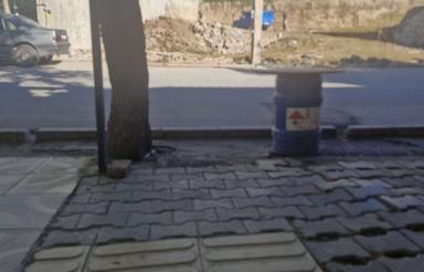 زمین آینده دار