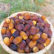 خریدار خرما شاهانی هستم